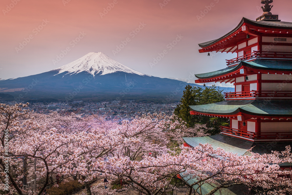 JAPAN SAKURA